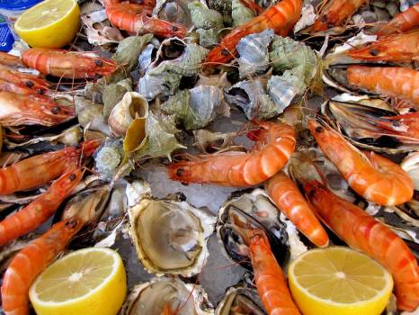 Livraison plateau de fruits de mer à Marseille Pierrot Coquillages