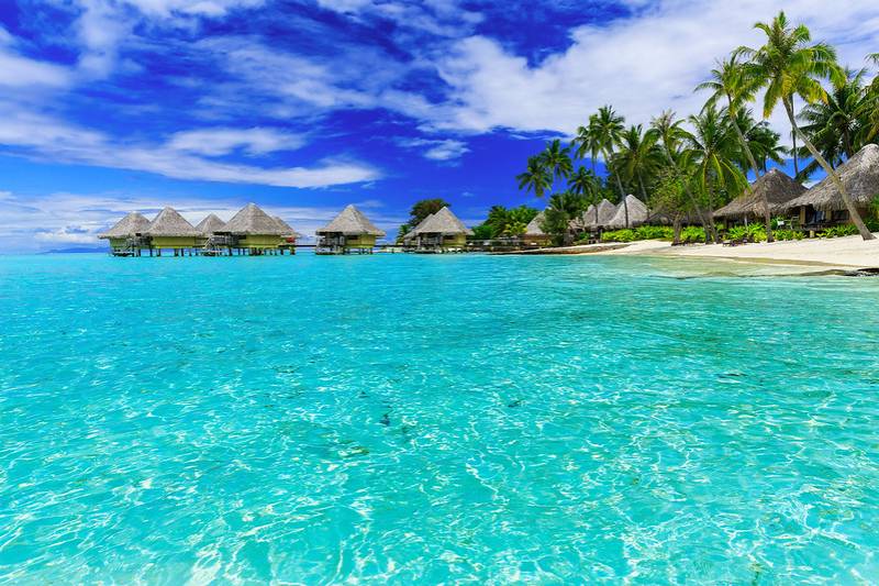 Quelques destinations de vacances incontournables à visiter en Polynésie